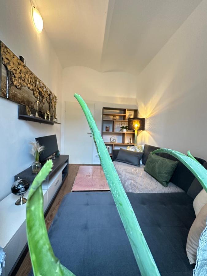 Ferienwohnung Marion Klagenfurt Zentrumsnaehe Klagenfurt am Woerthersee Eksteriør bilde