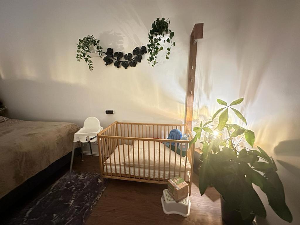 Ferienwohnung Marion Klagenfurt Zentrumsnaehe Klagenfurt am Woerthersee Eksteriør bilde